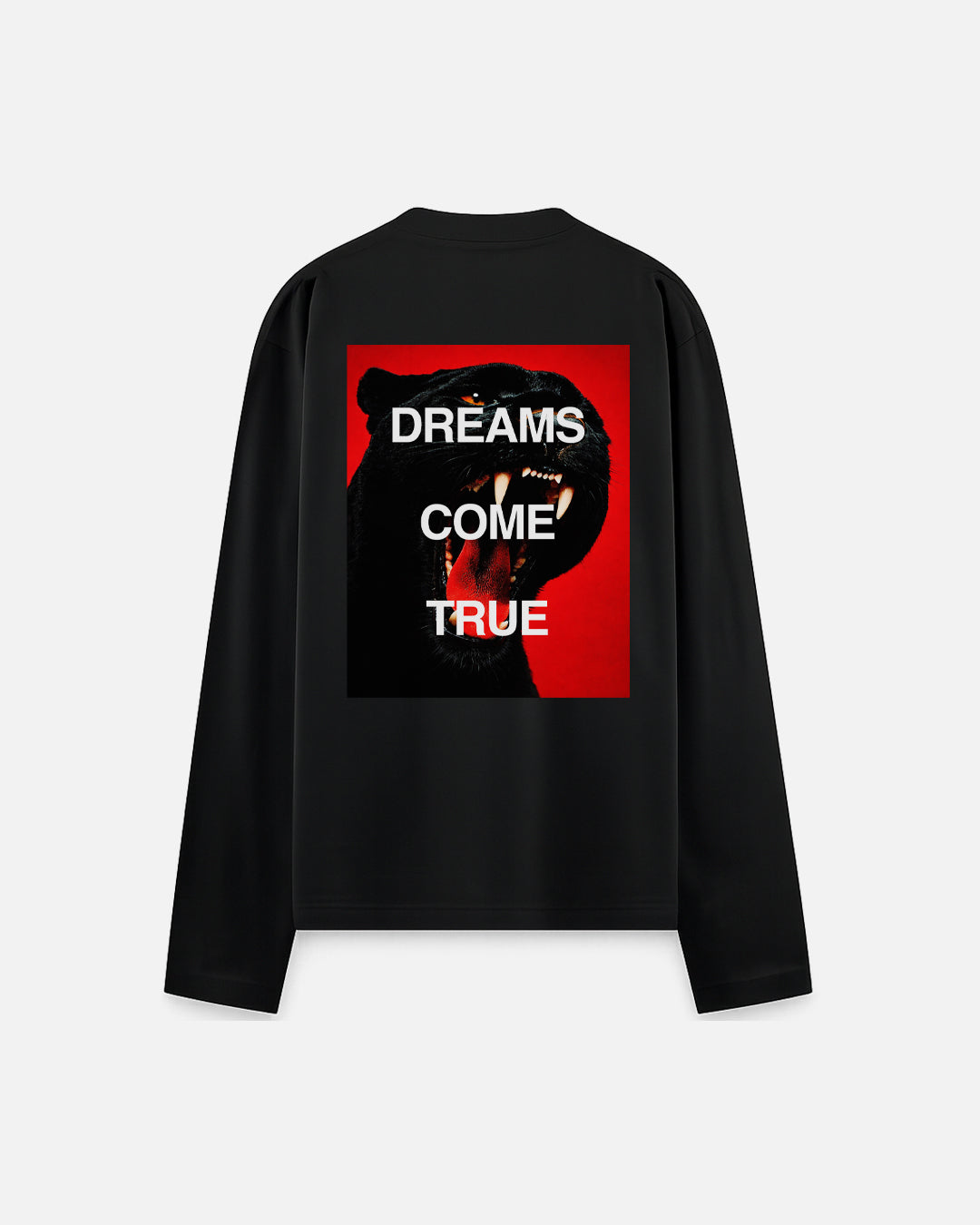 DREAMS COME TRUE ( PUMA )